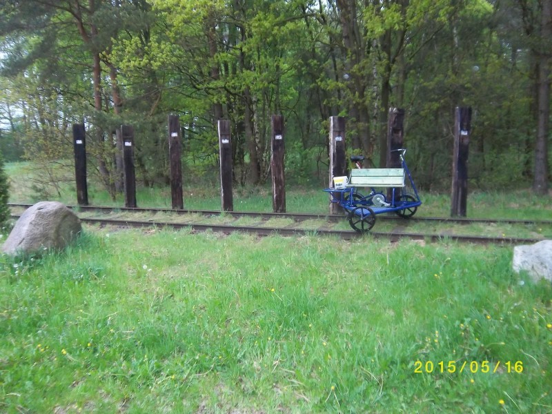 ZWNEGI17